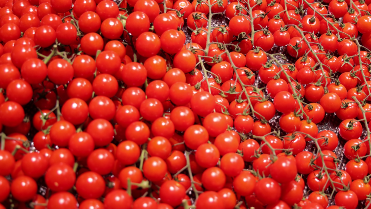 首家“学习胖东来自主调改店”开业CQ9电子中国网站永辉超市太原(图2)