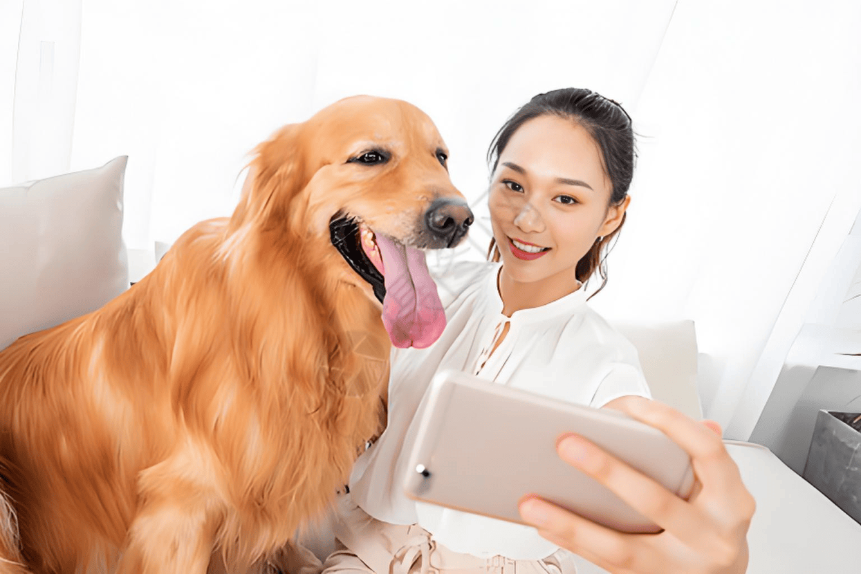 业链分析：现状、痛点、需求、趋势CQ9电子平台入口宠物食品行业产(图2)