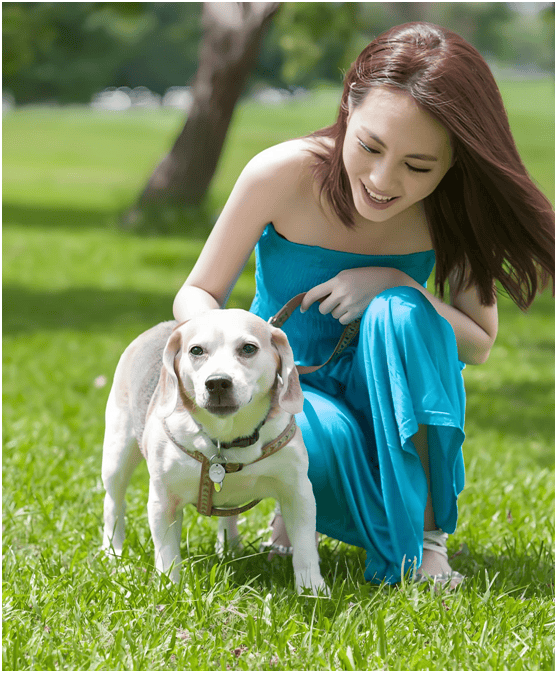 业链分析：现状、痛点、需求、趋势CQ9电子平台入口宠物食品行业产(图3)