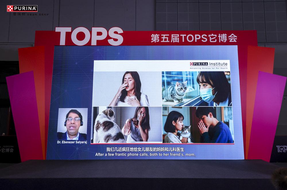上市让数千万中国爱猫家庭“自由吸猫”CQ9电子全球首款抗过敏猫粮本土升级(图2)