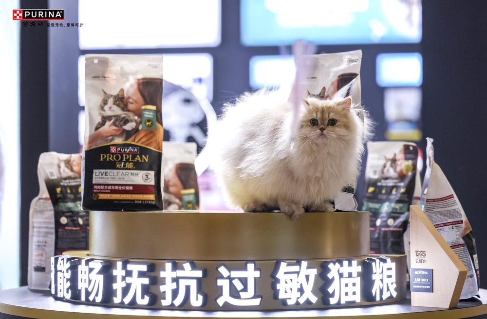 上市让数千万中国爱猫家庭“自由吸猫”CQ9电子全球首款抗过敏猫粮本土升级(图6)