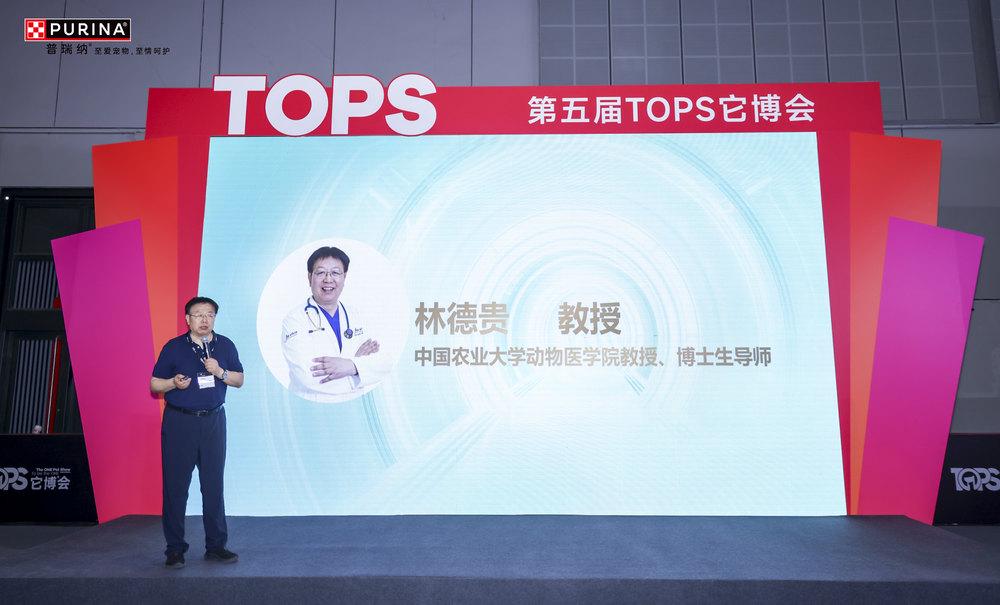 上市让数千万中国爱猫家庭“自由吸猫”CQ9电子全球首款抗过敏猫粮本土升级(图5)